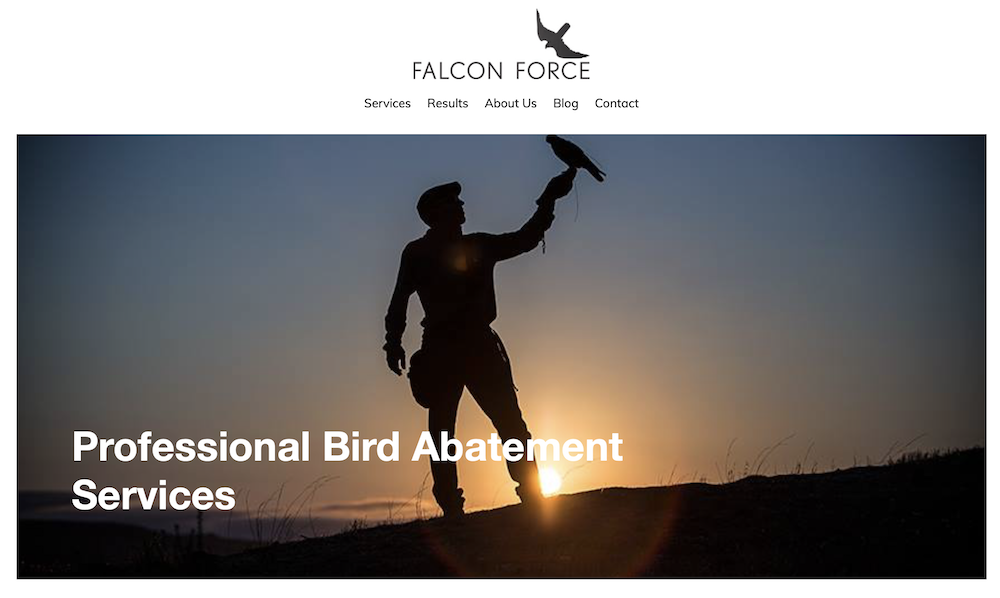 FalconForce.com Website Screenshot